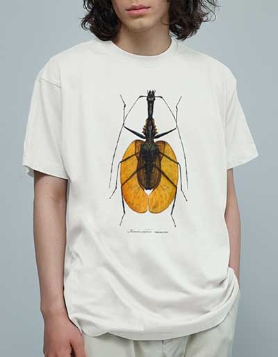 バイオリンムシTシャツ