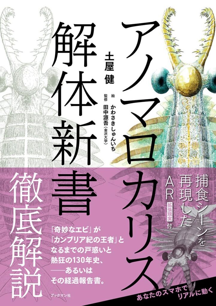 地球生命　水際の興亡史　生物ミステリープロ　12冊セット 地球生命 水際の興亡史 (生物ミステリー(生物ミステリー プロ