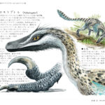 ヴェロキラプトル