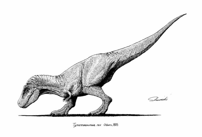 ティラノサウルス