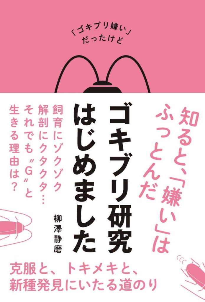 ゴキブリ嫌いだっったけどゴキブリ研究はじめました