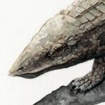 アエトサウルスs