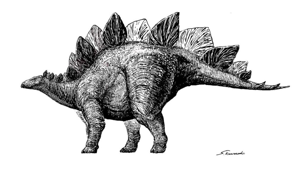 ステゴサウルス